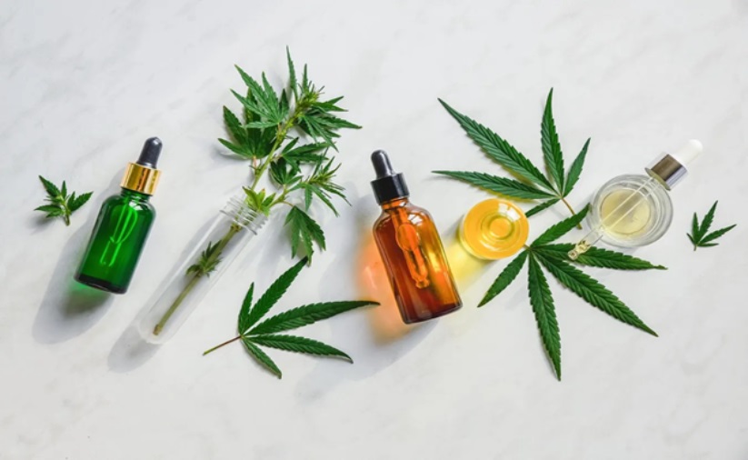 A Beginner’s Guide to CBD: What You Need to Know CBD